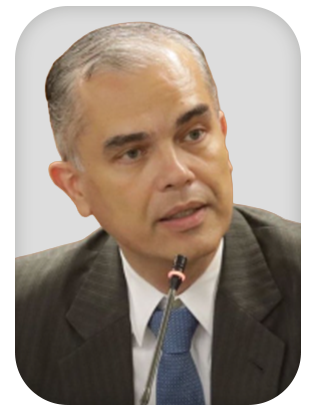 Homero Batista Mateus da Silva