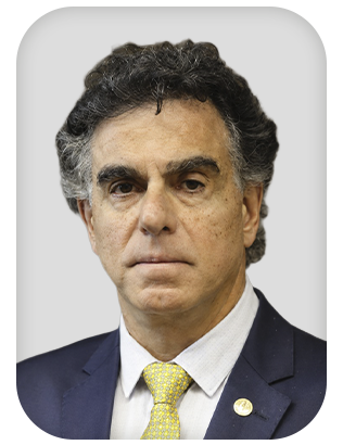 Luiz Philippe Vieira de Mello Filho 